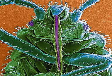 这款主打辩论的游戏，却让玩家玩起了“杀人棒球”