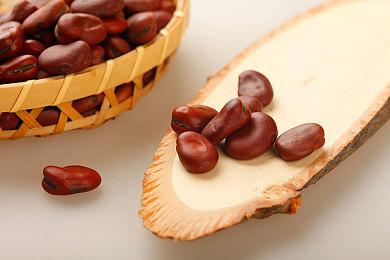 《星空》新Mod增加50个太空遭遇事件 提升游戏体验